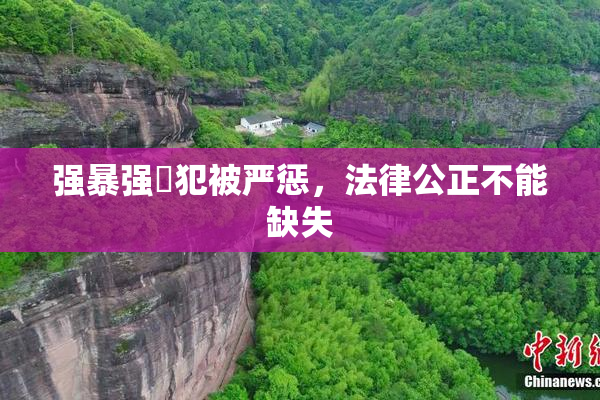 强暴强姦犯被严惩，法律公正不能缺失