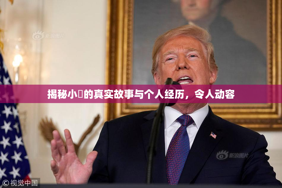 揭秘小泬的真实故事与个人经历，令人动容