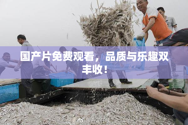 国产片免费观看，品质与乐趣双丰收！