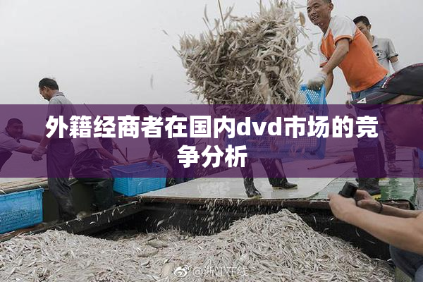外籍经商者在国内dvd市场的竞争分析