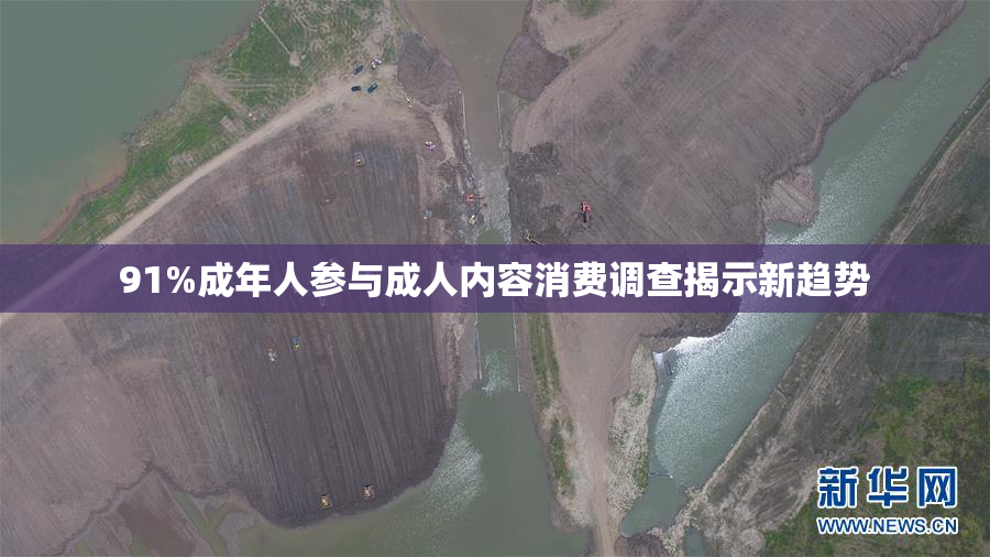 91%成年人参与成人内容消费调查揭示新趋势