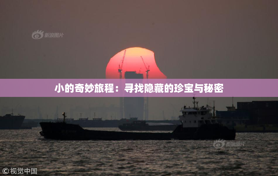 小的奇妙旅程：寻找隐藏的珍宝与秘密