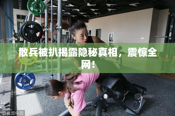 散兵被扒揭露隐秘真相，震惊全网！