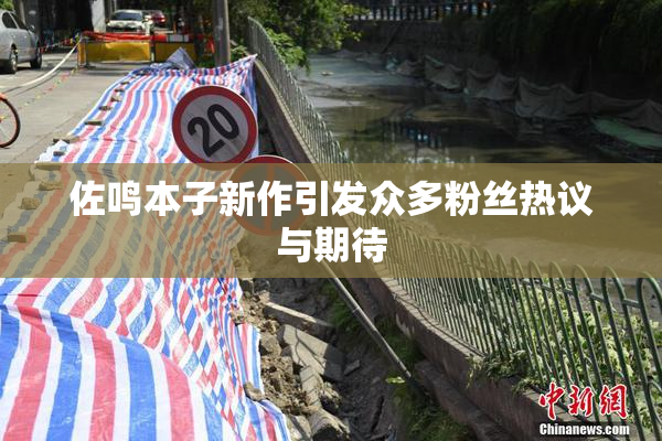佐鸣本子新作引发众多粉丝热议与期待