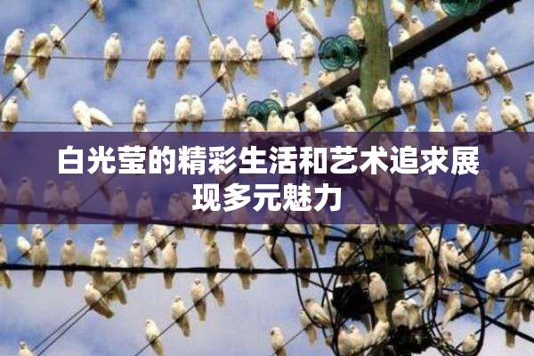 白光莹的精彩生活和艺术追求展现多元魅力
