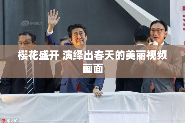 樱花盛开 演绎出春天的美丽视频画面
