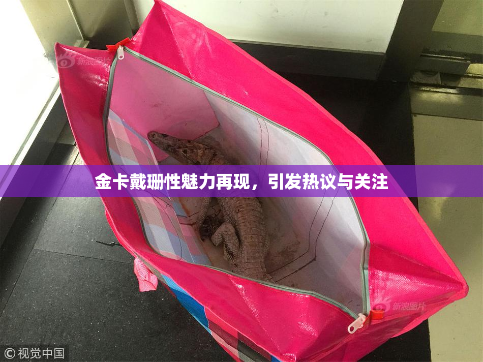 金卡戴珊性魅力再现，引发热议与关注
