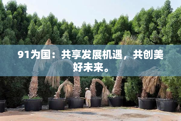 91为国：共享发展机遇，共创美好未来。