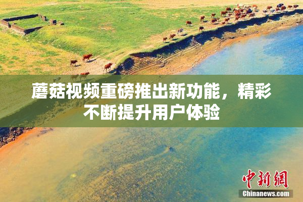 蘑菇视频重磅推出新功能，精彩不断提升用户体验
