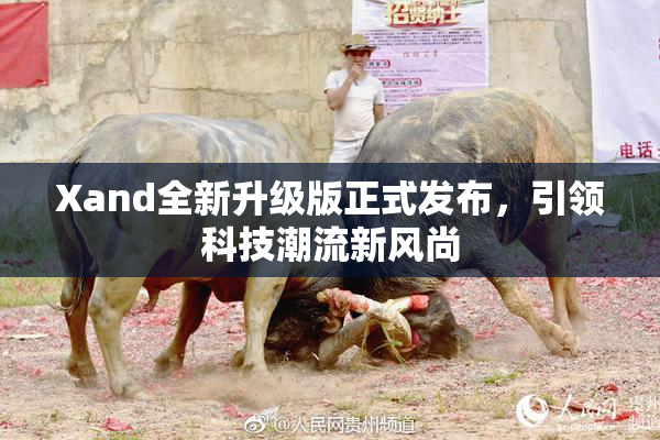 Xand全新升级版正式发布，引领科技潮流新风尚