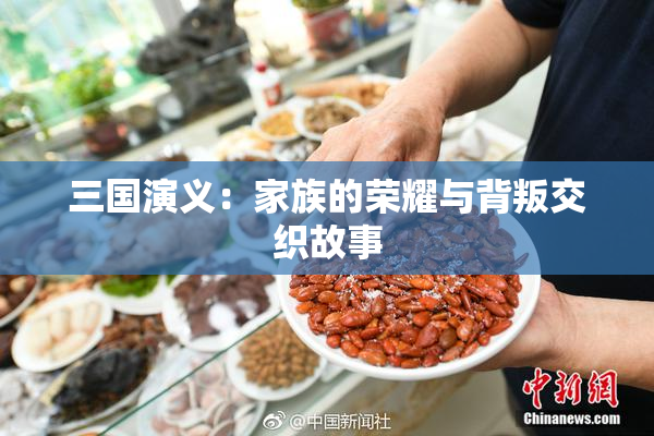 三国演义：家族的荣耀与背叛交织故事
