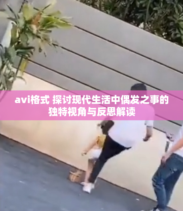 avi格式 探讨现代生活中偶发之事的独特视角与反思解读