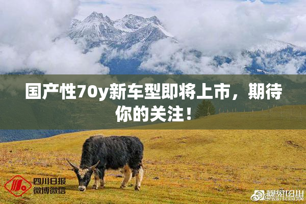 国产性70y新车型即将上市，期待你的关注！