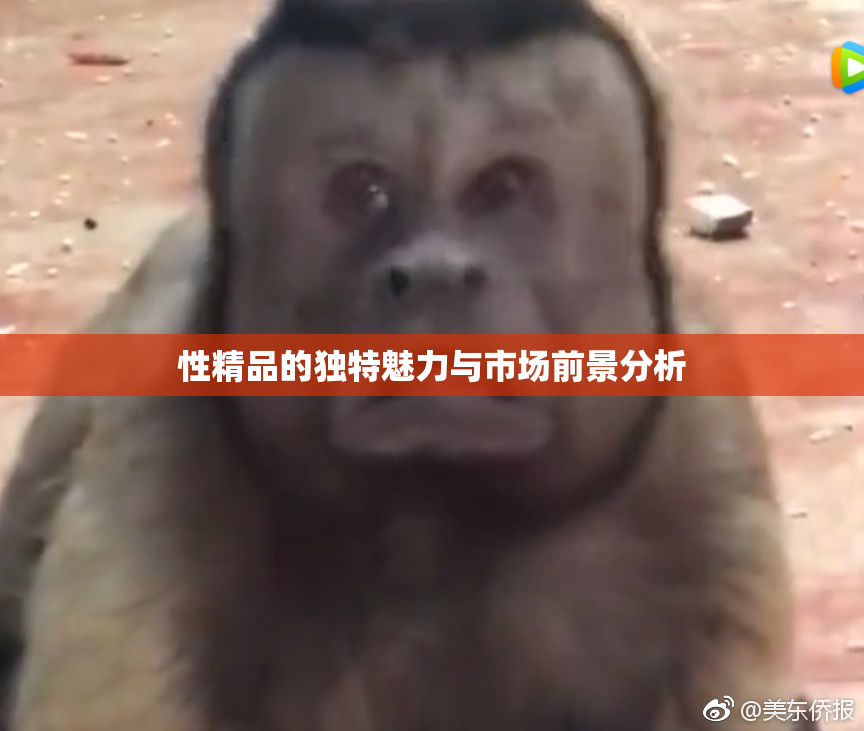 性精品的独特魅力与市场前景分析