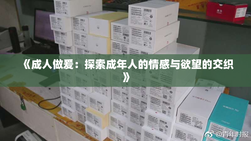 《成人做爰：探索成年人的情感与欲望的交织》