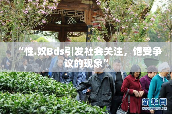 “性.奴Bds引发社会关注，饱受争议的现象”