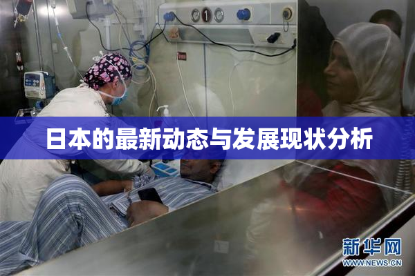 日本的最新动态与发展现状分析