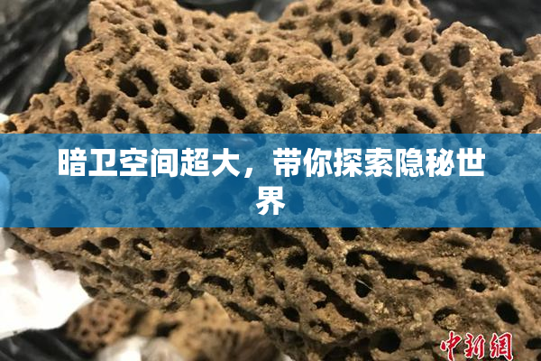 暗卫空间超大，带你探索隐秘世界