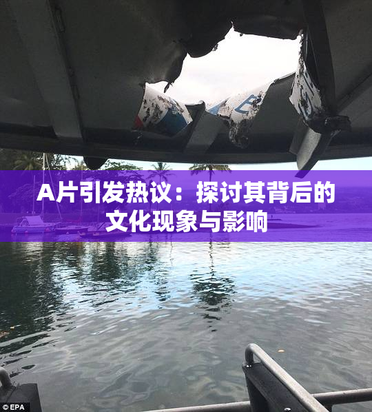 A片引发热议：探讨其背后的文化现象与影响