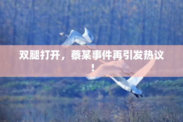 双腿打开，蔡某事件再引发热议！