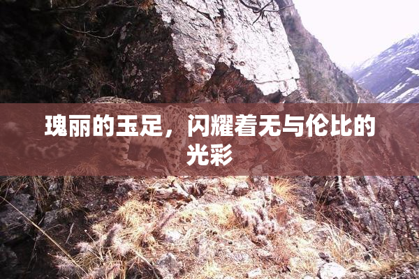 瑰丽的玉足，闪耀着无与伦比的光彩