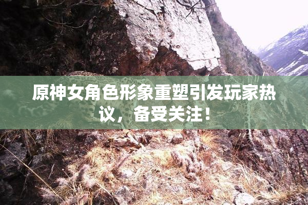 原神女角色形象重塑引发玩家热议，备受关注！