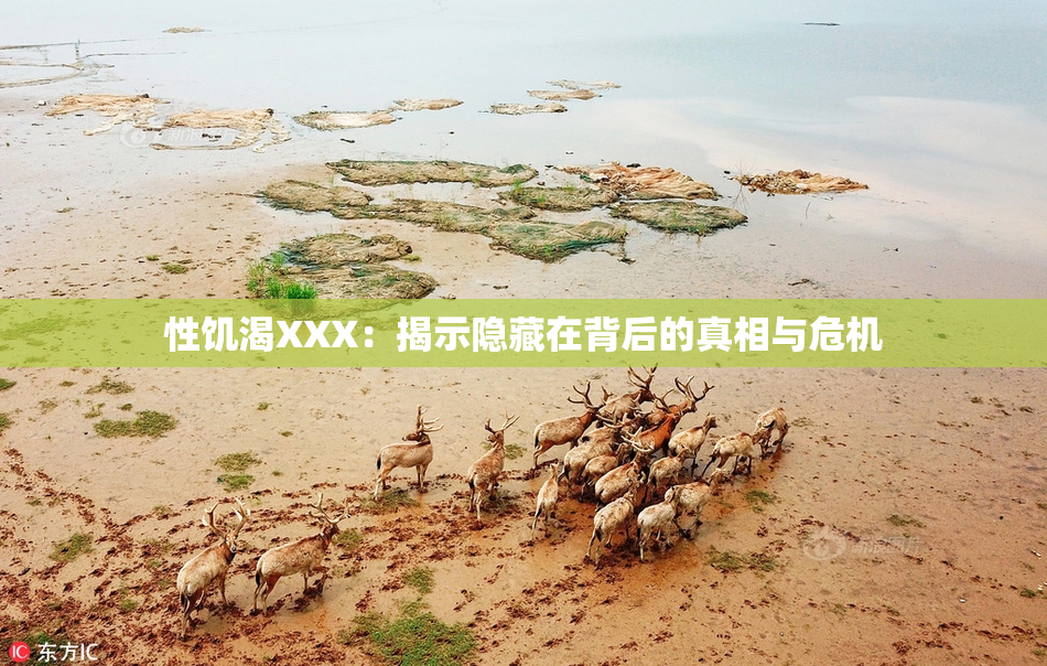 性饥渴XXX：揭示隐藏在背后的真相与危机