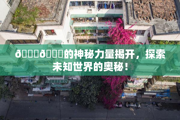 🐔🐔的神秘力量揭开，探索未知世界的奥秘！
