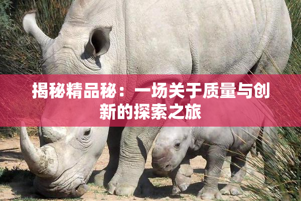 揭秘精品秘：一场关于质量与创新的探索之旅