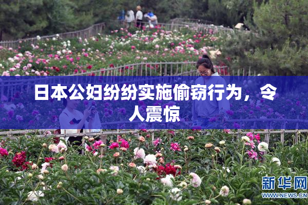 日本公妇纷纷实施偷窃行为，令人震惊