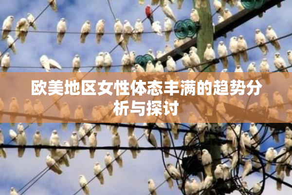 欧美地区女性体态丰满的趋势分析与探讨
