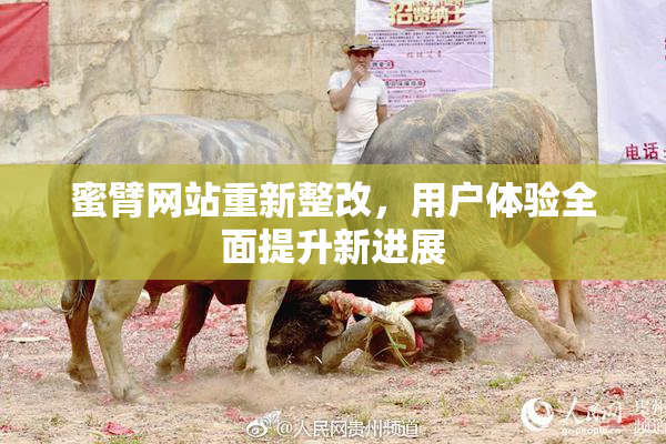 蜜臂网站重新整改，用户体验全面提升新进展