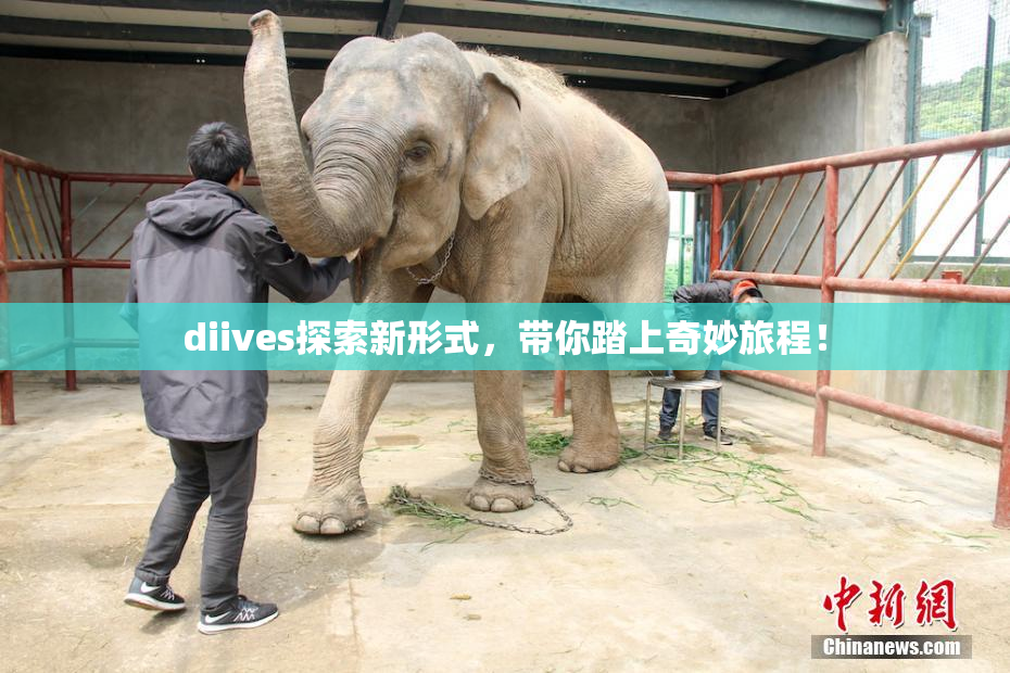 diives探索新形式，带你踏上奇妙旅程！