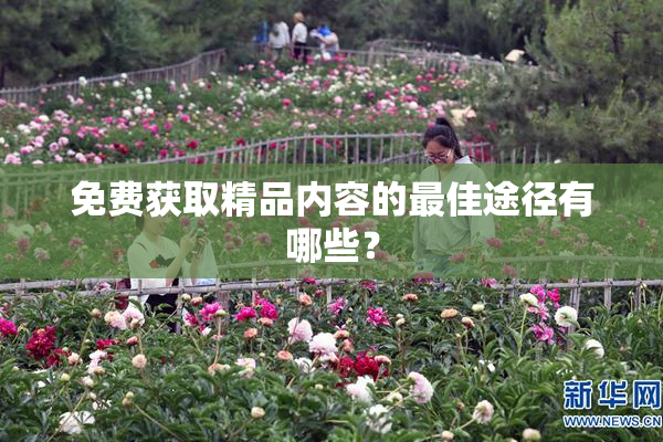 免费获取精品内容的最佳途径有哪些？