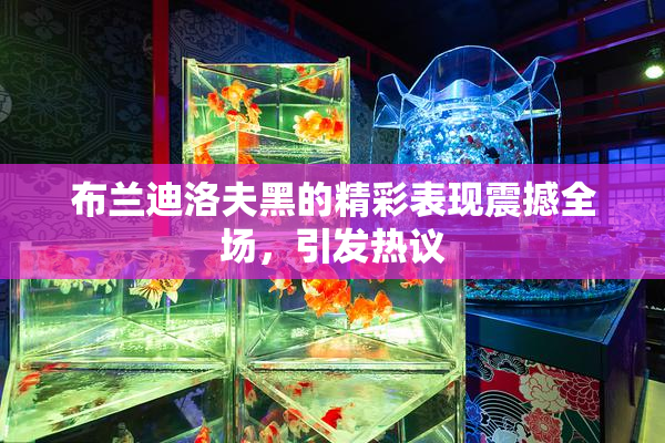 布兰迪洛夫黑的精彩表现震撼全场，引发热议