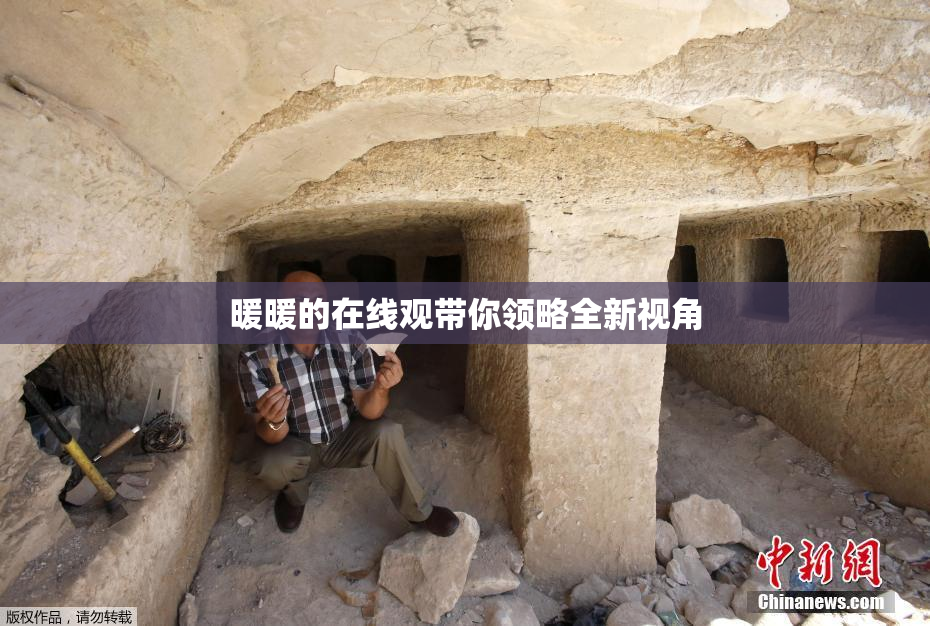 暖暖的在线观带你领略全新视角