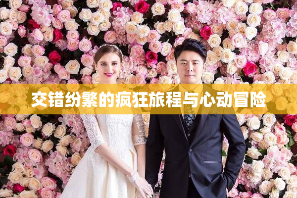 交错纷繁的疯狂旅程与心动冒险