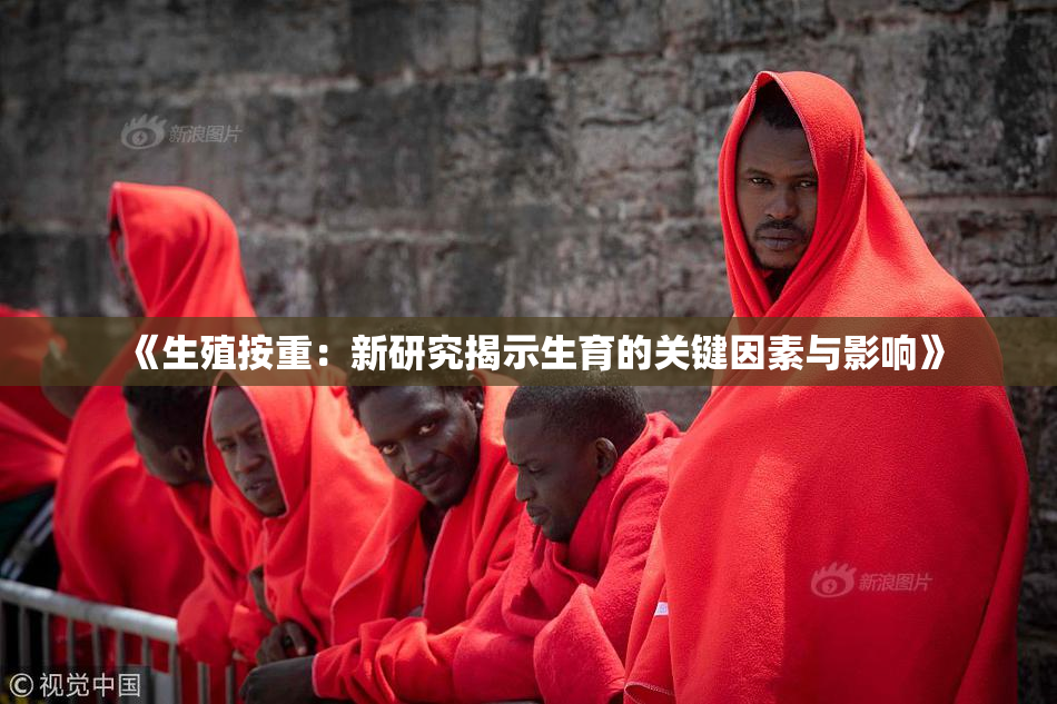《生殖按重：新研究揭示生育的关键因素与影响》