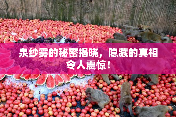 泉纱雾的秘密揭晓，隐藏的真相令人震惊！