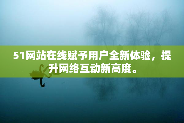 51网站在线赋予用户全新体验，提升网络互动新高度。