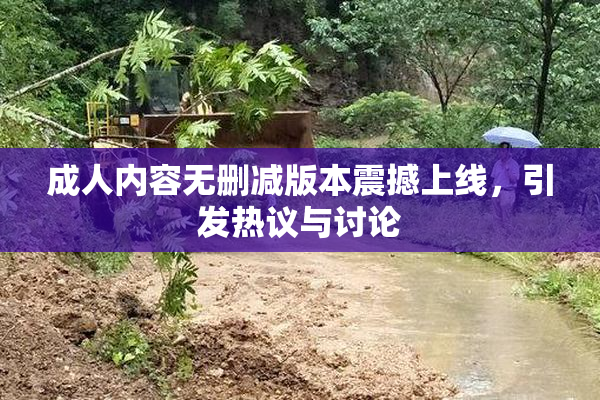 成人内容无删减版本震撼上线，引发热议与讨论