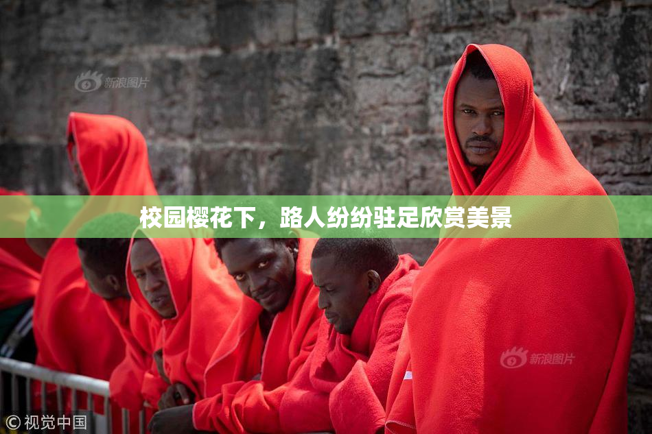校园樱花下，路人纷纷驻足欣赏美景