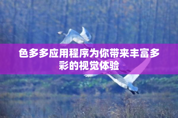 色多多应用程序为你带来丰富多彩的视觉体验