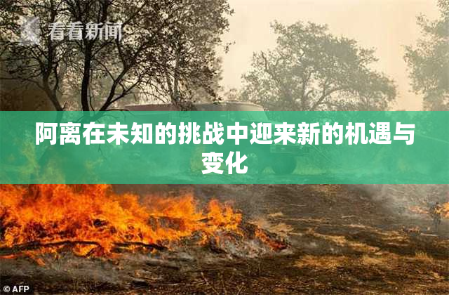 阿离在未知的挑战中迎来新的机遇与变化