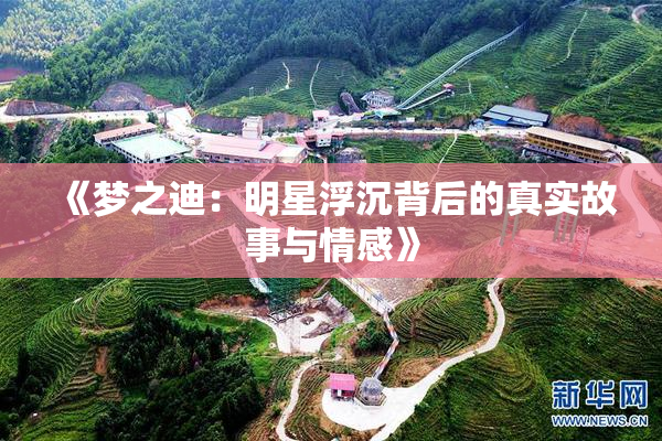 《梦之迪：明星浮沉背后的真实故事与情感》