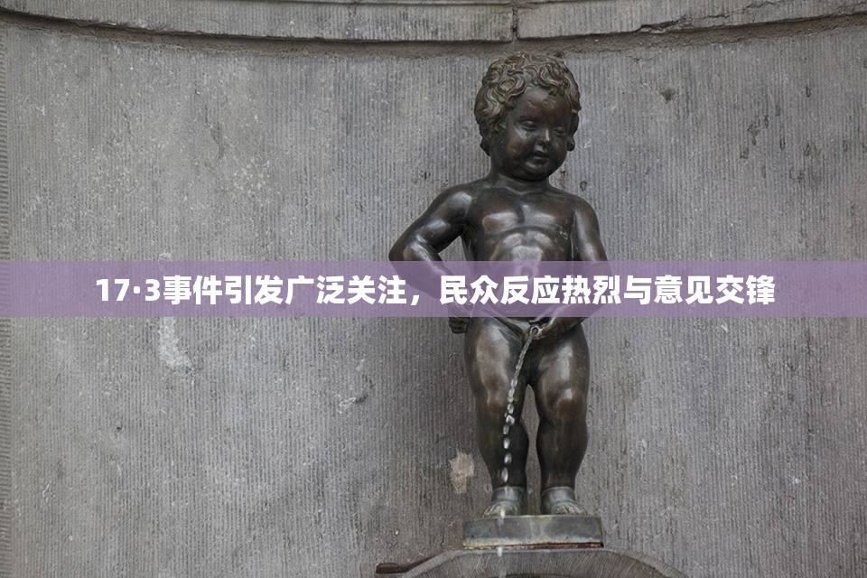 17·3事件引发广泛关注，民众反应热烈与意见交锋