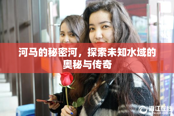 河马的秘密河，探索未知水域的奥秘与传奇