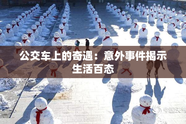 公交车上的奇遇：意外事件揭示生活百态