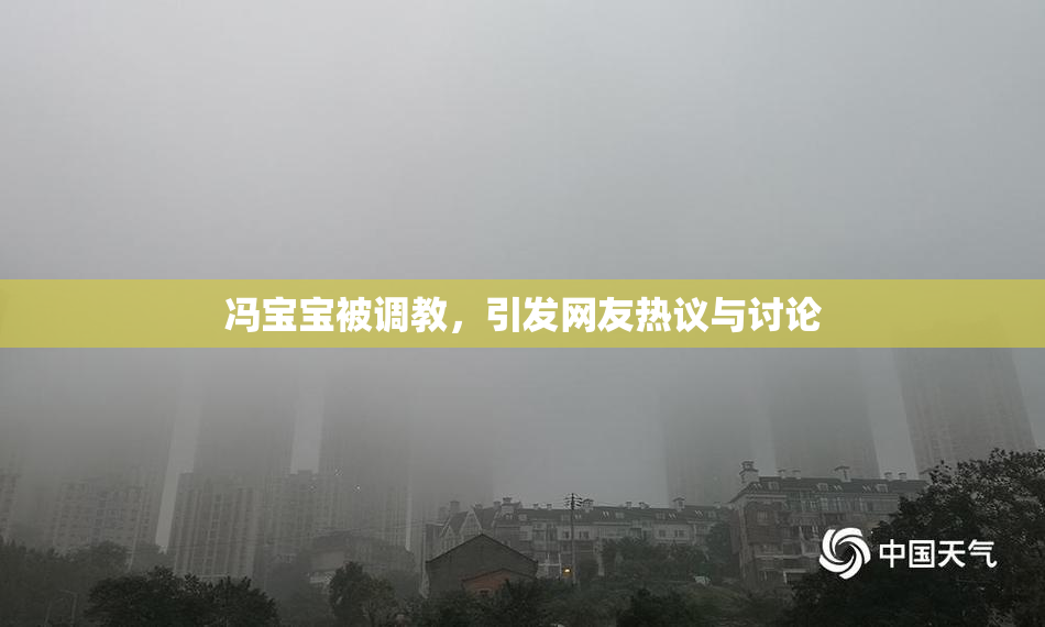 冯宝宝被调教，引发网友热议与讨论