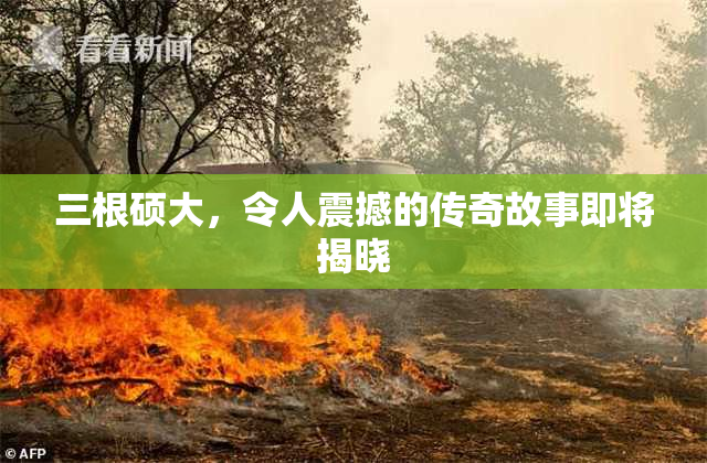 三根硕大，令人震撼的传奇故事即将揭晓